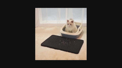 Cat comfortably using the double-layer waterproof litter mat video demonstration