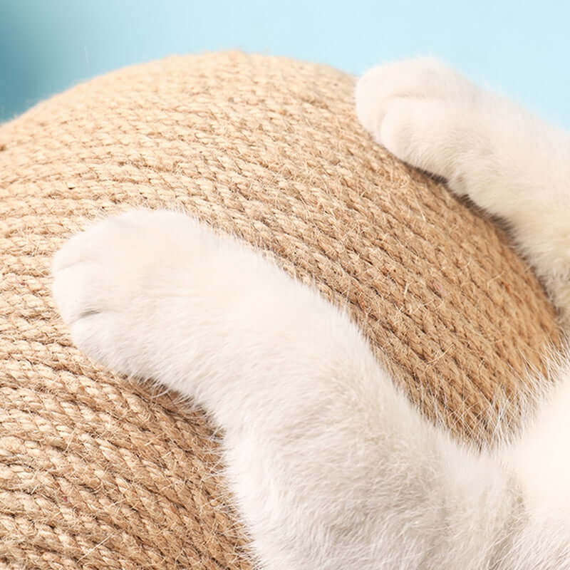 Keep Your Home Scratch-Free with our Attractive Cat Scratching Ball Toy