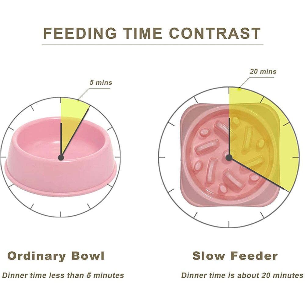 Feeding Time Contrast Non-Slip Puzzle Bowl - Keep Your Pet's Food in Place