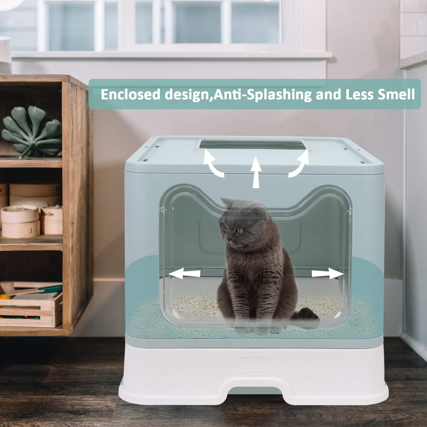 Cat Toilet - Encourages proper bathroom habits for your furry friend