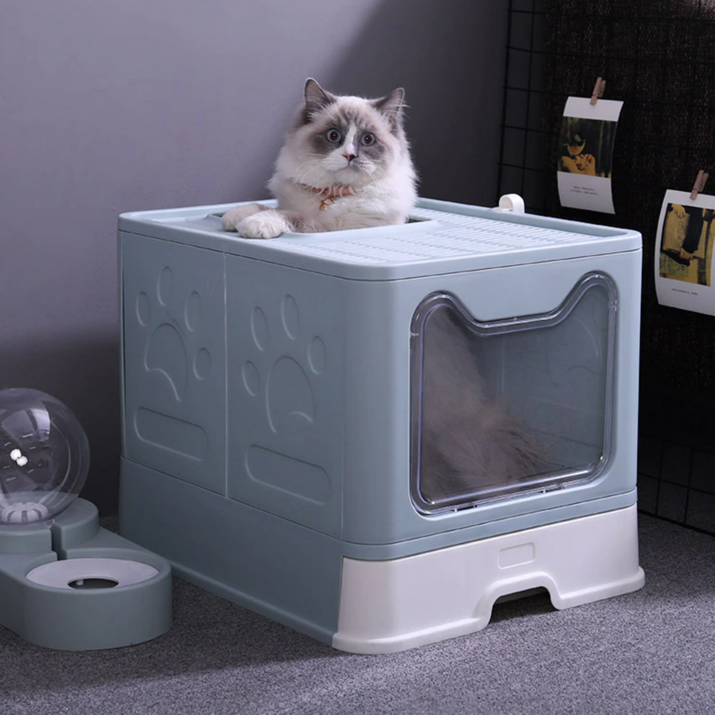 Top Exit Cat Litter Box - Allows cats to jump out and avoid tracking litter