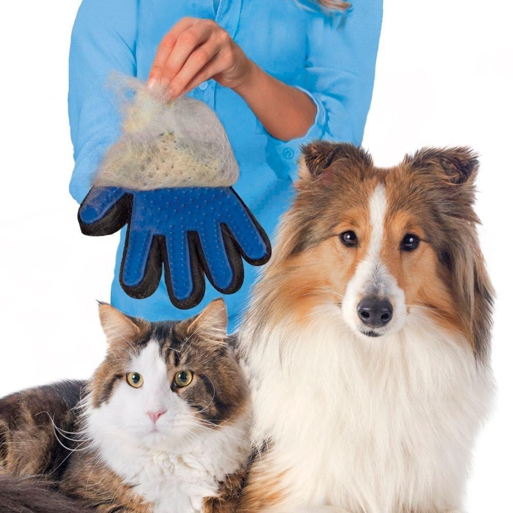 Pet Grooming Glove with a great for removing loose hair and dander